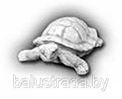 Черепаха — С 116