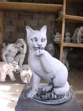 Кот — С 137